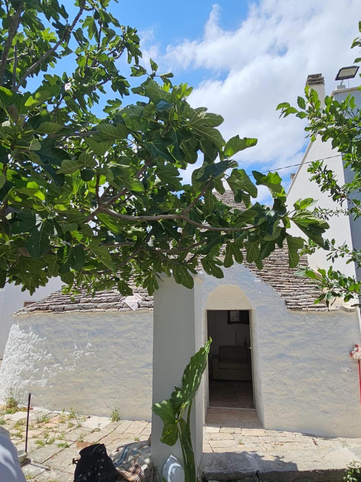 River Trulli Oasi Di Pace In Sito Unesco Alberobello Extérieur photo